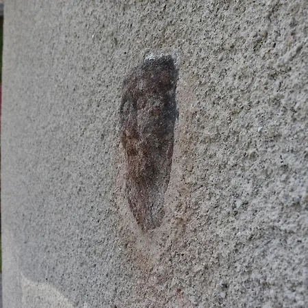 La Fangousse, Proche Pareloup Nyaraló